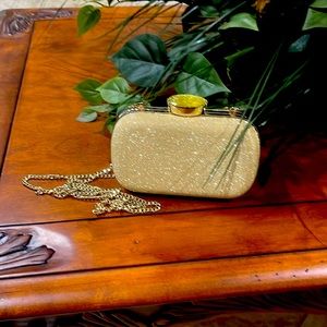 Gold Metallic clutch purse